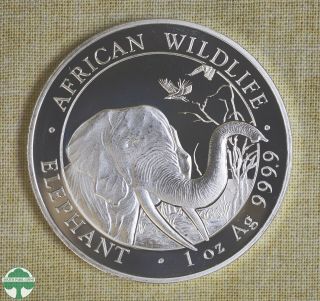 2018 Somalia 100 Shillings - Elephant - Fineness: 999 - 1 Oz Silver