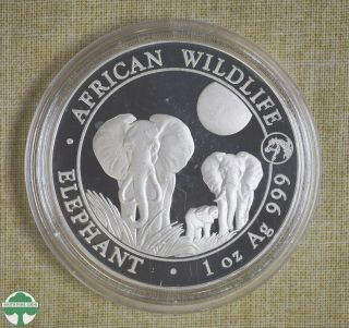 2014 Somalia 100 Shillings W/ Privy Mark - Elephant - Fineness: 999 - 1 Oz Silver