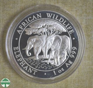 2013 Somalia 100 Shillings Silver Coin - Elephant - Fineness: 999 - 1 Oz Silver
