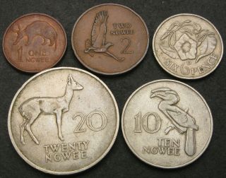 Zambia 6 Pence & 1,  2,  10,  20 Ngwee 1964/1983 - 5 Coins.  - 499
