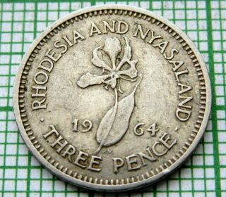 Rhodesia & Nyasaland Elizabeth Ii 1964 3 Pence,  Flame Lily