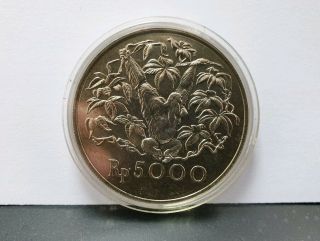 Indonesia 1974 Wwf Conservation Rp5000 Silver Coin In Capsul (non Proof)