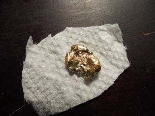 2.  26 Gram Gold Nugget From Northern California