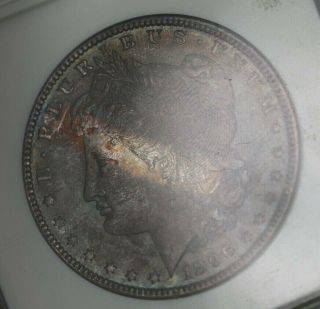 1896 - P Ngc Silver Morgan Dollar Ms65 Obverse Tab Toned Great Luster