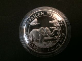 2019 Somalian African Elephant 1oz Silver Bullion Coin 100 Schillings