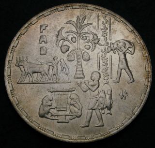 Egypt 5 Pounds Ah1415 / Ad1995 - Silver - F.  A.  O.  - Xf/aunc - 2101