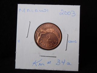 Malawi: 2003 2 Tambala Coin (unc. ) (22) Km 34a