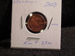 Malawi: 2003 1 Tambala Coin (unc. ) (222) Km 33a