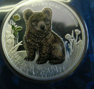 Tuvalu 2013 Brown Bear Forest Babies 1/2 Oz.  Silver Proof Coin Perth 50 C