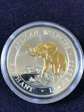 2016 Somali Republic - 100 Shillings - One Ounce Silver Gilded Elephant - Gilt