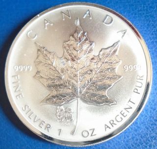 Canada: 2006 $5 Maple Leaf " Dog " Privy 1 Oz.  999 Silver " Proof ",  Cap - Top Grade