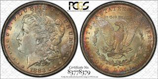 1883 - O Morgan Silver Dollar Pcgs Ms64 Toned - Color