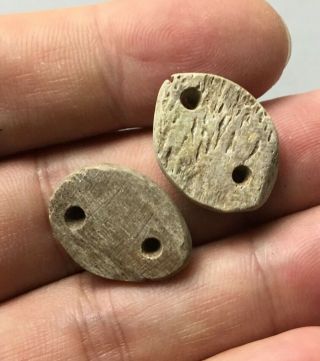 2 Bone Cowry Shell (Shell Money) - Zhou Dynasty (1046BC - 256BC) 3