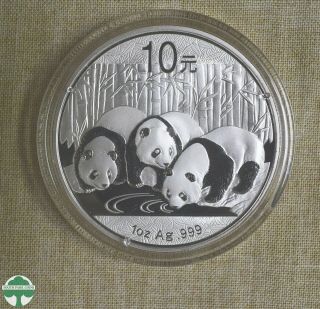 2013 China Panda - 10 Yuan - 1 Oz 999 Silver - Housed In Plastic Capsule