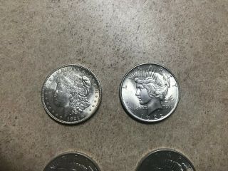 1921 Morgan 1922,  1923 & 1924 Silver Peace Dollar GREAT Detail 2
