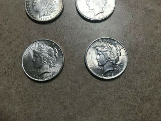1921 Morgan 1922,  1923 & 1924 Silver Peace Dollar GREAT Detail 3