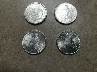 1921 Morgan 1922,  1923 & 1924 Silver Peace Dollar GREAT Detail 5