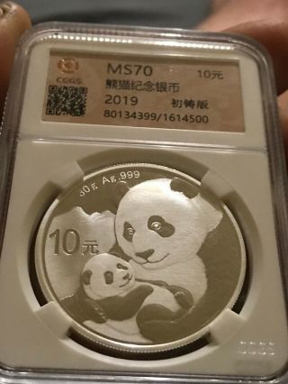 2019 10Yn 30Gram Silver Panda coin is perfect not a mark or spot on it 4