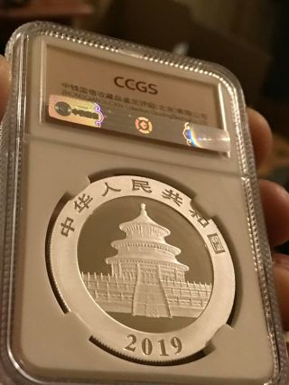 2019 10Yn 30Gram Silver Panda coin is perfect not a mark or spot on it 6