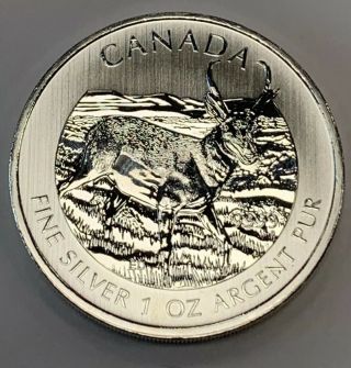 2013 BU $5 Canada 1 oz.  9999 Fine Silver Wildlife Series Pronghorn Antelope Coin 2