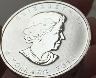 2013 BU $5 Canada 1 oz.  9999 Fine Silver Wildlife Series Pronghorn Antelope Coin 3
