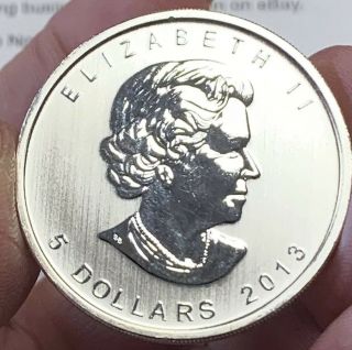 2013 BU $5 Canada 1 oz.  9999 Fine Silver Wildlife Series Pronghorn Antelope Coin 4