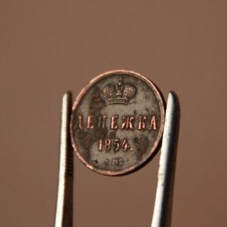 1/2 Kopek Denezhka Russian Imperia 1854 Em Nicholas I (1825 - 1855) Coin Copper 5k