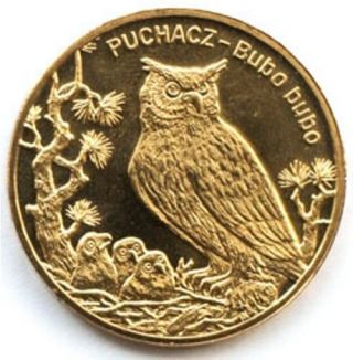 Poland 2 Zloty 2005 Puchacz - Bubo Bubo - Eagle Owl Unc (909)