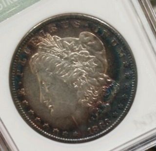 1883 - S Morgan Dollar Rich Colorful Toning