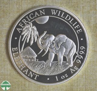 2017 Somalia 100 Shillings - Elephant - Fineness: 999 - 1 Oz Silver