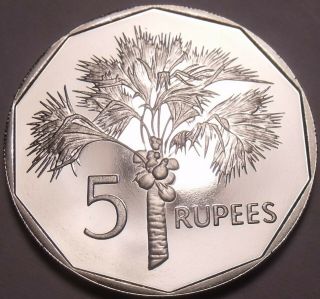 Seychelles 5 Rupees Gem Unc Only 5,  000 Minted Coco - De - Mer Palm Tree