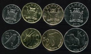 Zambia Set 4 Coins 5 10 50 Ngwee,  1 K " Animal " 2012 Unc