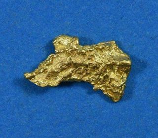 Alaskan - Yukon Bc Gold Rush Natural Gold Nugget 0.  27 Grams
