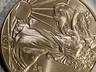 KITCO 2017 1 Oz Silver American Eagle MintFirst Premium Uncirculated Coins 1003 4