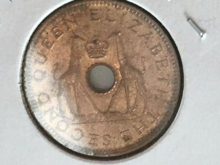 1957 Rhodesia And Nyasaland 1/2 Penny Km 1 Giraffe Coin Uncirculated