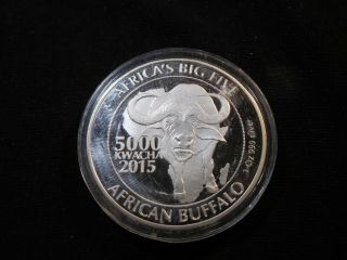 U5 Africa Zambia 2015 Silver 1 Oz.  African Buffalo 5000 Kwacha Proof In Capsule