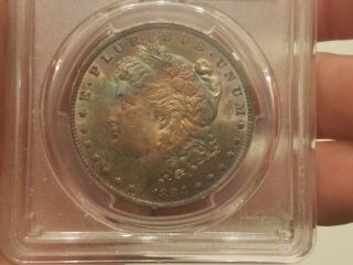 1884 O Pcgs Ms63 Nicely Toned Morgan Dollar