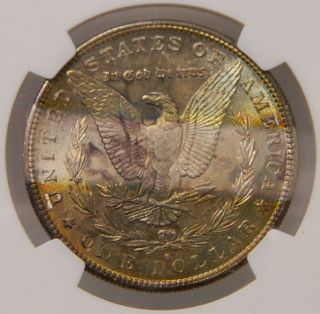 1882 - S Morgan Silver Dollar Ngc Ms64 Yellow & Sea Foam Green Toned