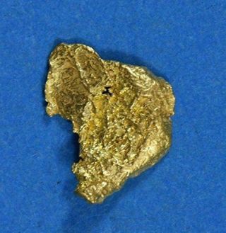 Alaskan - Yukon Bc Gold Rush Natural Gold Nugget 0.  25 Grams