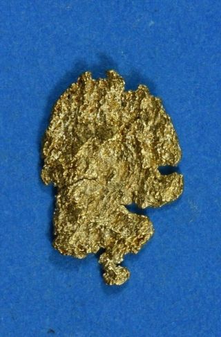 Alaskan - Yukon Bc Gold Rush Natural Gold Nugget 0.  28 Grams