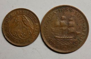 1950s South African Coins Coin (n43)