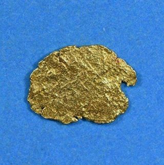 Alaskan - Yukon Bc Gold Rush Natural Gold Nugget 0.  30 Grams