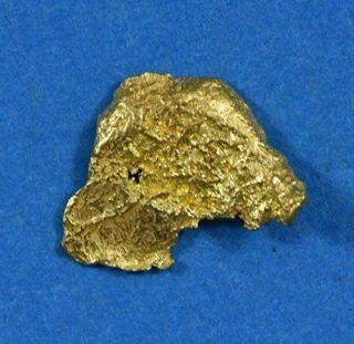 Alaskan - Yukon Bc Gold Rush Natural Gold Nugget 0.  24 Grams