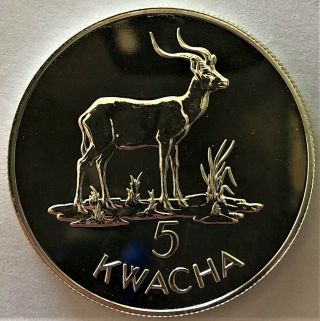 1979 Zambia 5 Kwacha Silver Coin (. 7527 Asw) - Km 18