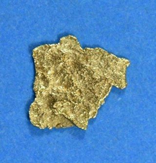 Alaskan - Yukon Bc Gold Rush Natural Gold Nugget 0.  23 Grams