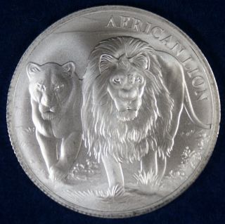 2016 Republique Du Congo 5000 Francs African Lion 1 Oz.  Silver Coin