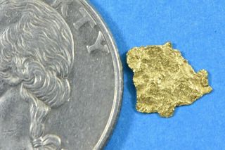 Alaskan - Yukon Bc Gold Rush Natural Gold Nugget 0.  18 Grams