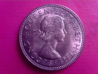 Zealand Half Penny 1960 Aug18