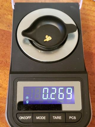 Gold Nugget 0.  269 Grams 92,  22k Alaska Natural Jewelers Grade ❤ ❤