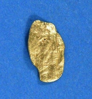 Alaskan - Yukon Bc Gold Rush Natural Gold Nugget 0.  16 Grams